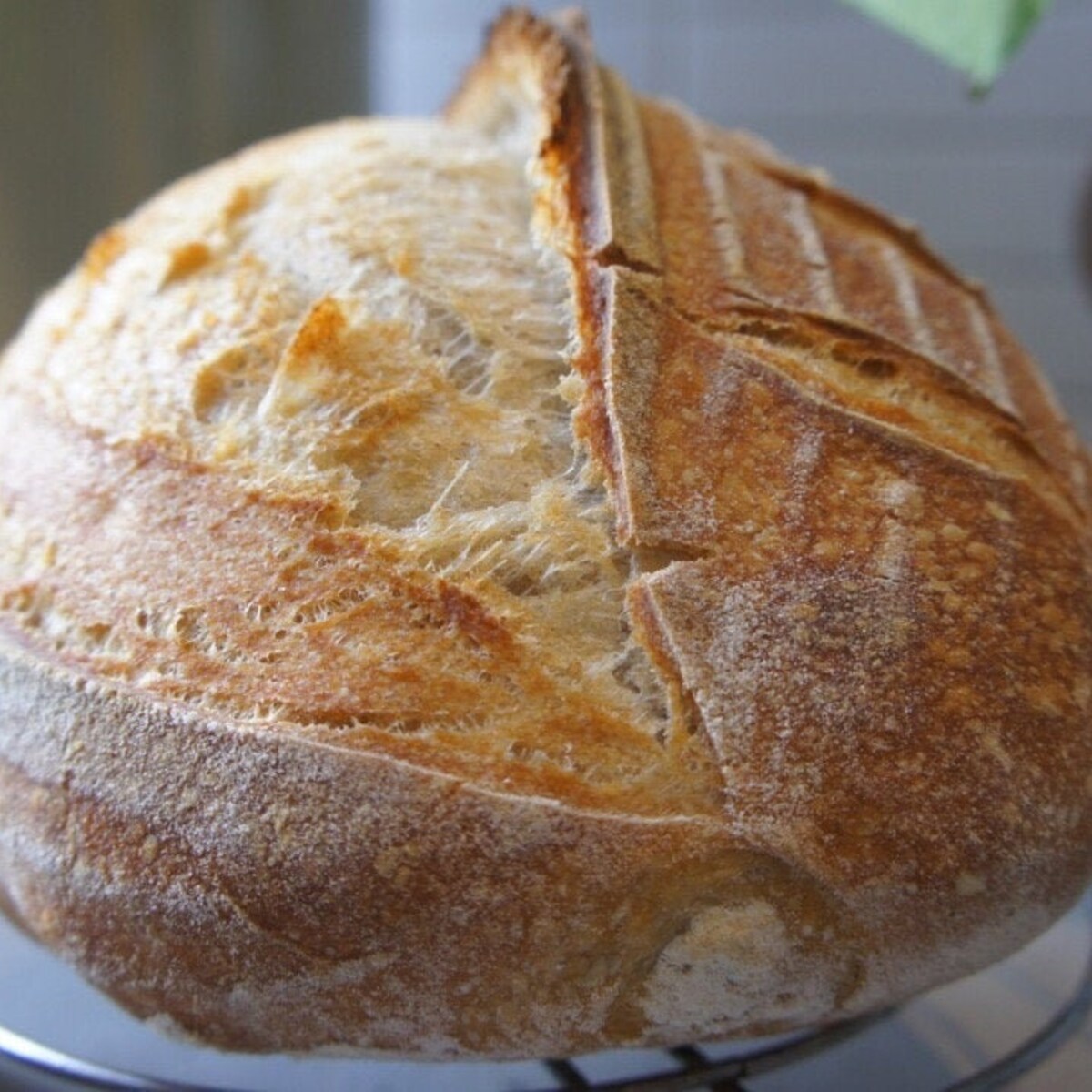 150 Year Old San Francisco Sourdough Starter-- SUPER ACTIVE! Dry Starter With Instructions. Please See Reviews! - Etsy