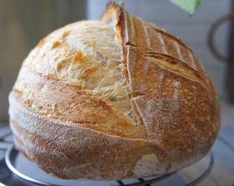 2 Pack Sourdough Starter  - 150 Years Old San Francisco! SUPER ACTIVE! Dry starter with instructions.  Please see reviews!