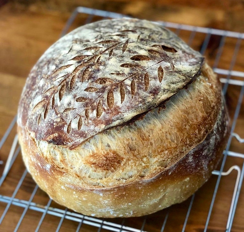 Levain au levain San Francisco de 150 ans d'âge SUPER ACTIF Démarreur à sec avec mode d'emploi. Veuillez consulter les commentaires image 10