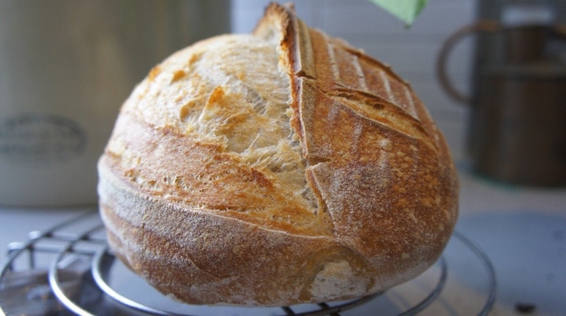 Levain au levain San Francisco de 150 ans d'âge SUPER ACTIF Démarreur à sec avec mode d'emploi. Veuillez consulter les commentaires image 1