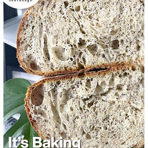 150 year old San Francisco Sourdough Starter-- SUPER ACTIVE! Dry starter with instructions. Please see our 3000+ 4.9 Star reviews! image 12