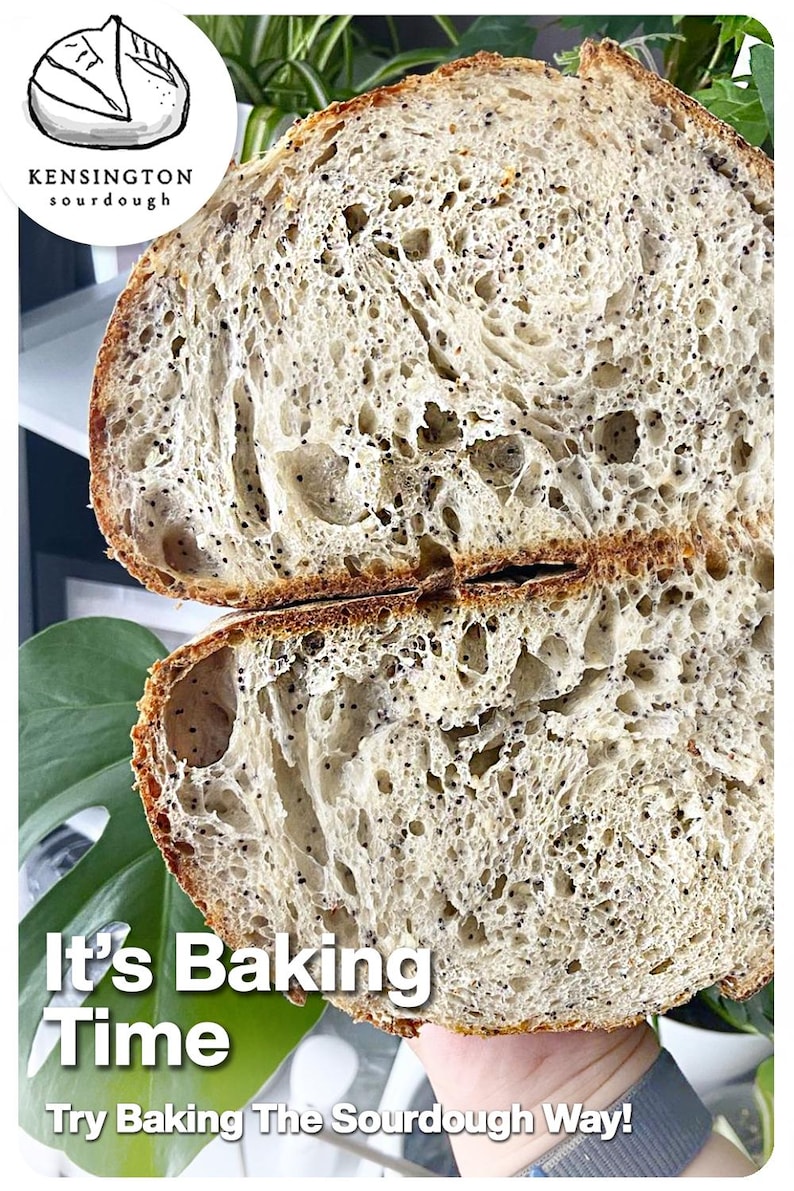 150 year old San Francisco Sourdough Starter-- SUPER ACTIVE! Dry starter with instructions. Please see our 3000+ 4.9 Star reviews! image 12