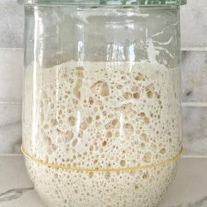 150 year old San Francisco Sourdough Starter-- SUPER ACTIVE! Dry starter with instructions. Please see our 3000+ 4.9 Star reviews! image 11