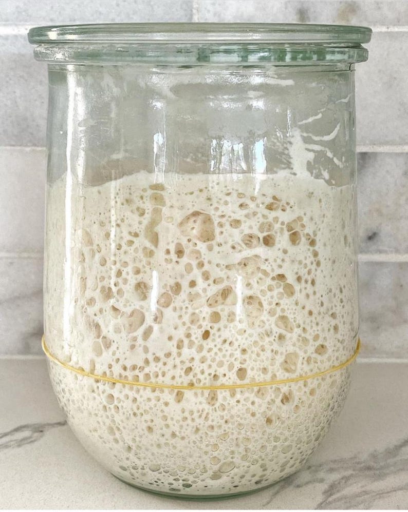 150 year old San Francisco Sourdough Starter-- SUPER ACTIVE! Dry starter with instructions. Please see our 3000+ 4.9 Star reviews! image 11