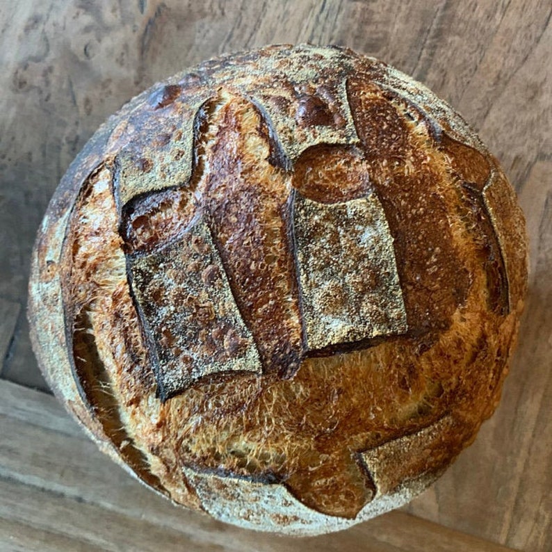 Levain au levain San Francisco de 150 ans d'âge SUPER ACTIF Démarreur à sec avec mode d'emploi. Veuillez consulter les commentaires image 8