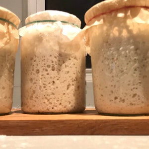 150 year old San Francisco Sourdough Starter SUPER ACTIVE Dry starter with instructions. Please see reviews image 3