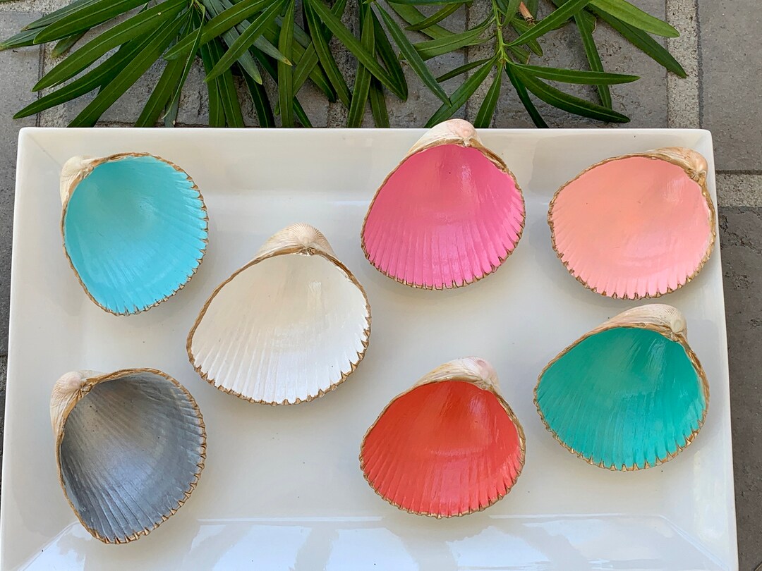 Seashell Jewelry Holder, Hand Painted Shells, Shell Trinket Bowl