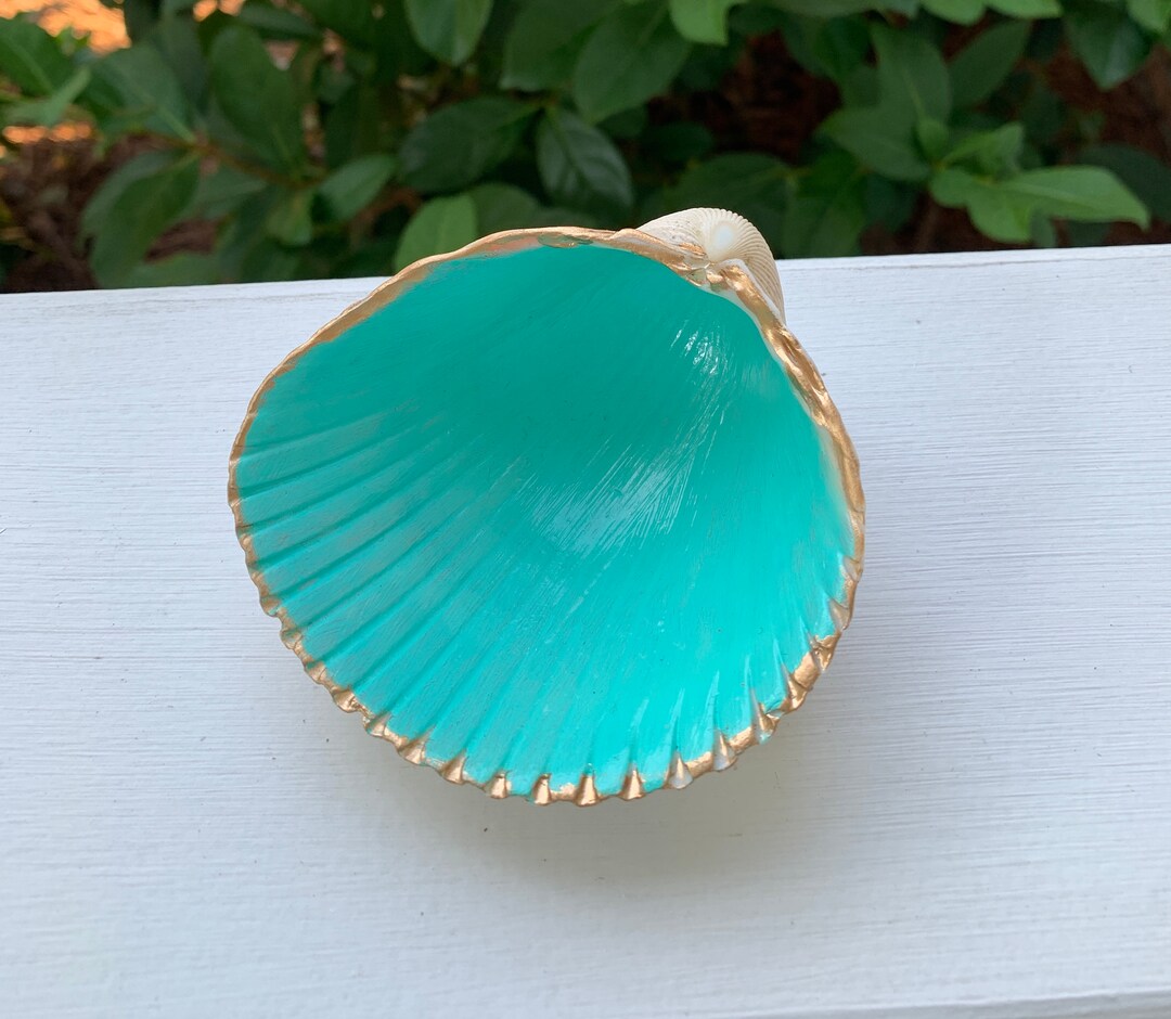 Seashell Jewelry Holder Hand Painted Shells Shell Trinket Etsy