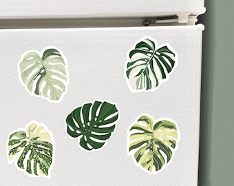 Monstera Magnets // Magnets for Cars, Refrigerator Magnets, Monstera Thai Constellation Albo Auerea Mint Deliciosa, gift for plant lovers