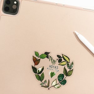 Hoyas Have My Heart // transparent vinyl sticker // gifts for plant lovers // image 2