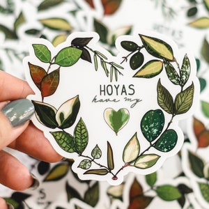 Hoyas Have My Heart // transparent vinyl sticker // gifts for plant lovers // image 4