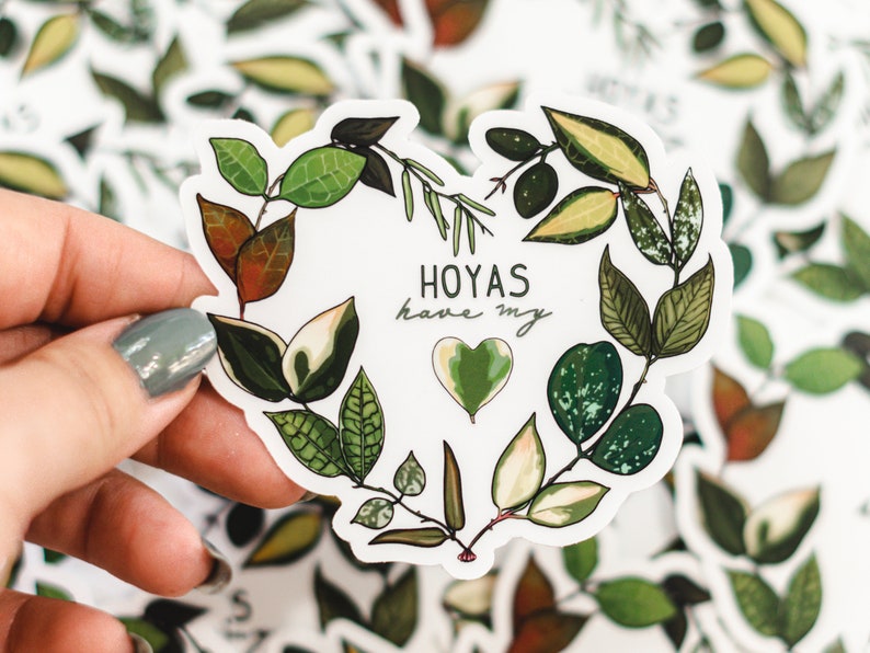 Hoyas Have My Heart // transparent vinyl sticker // gifts for plant lovers // image 4