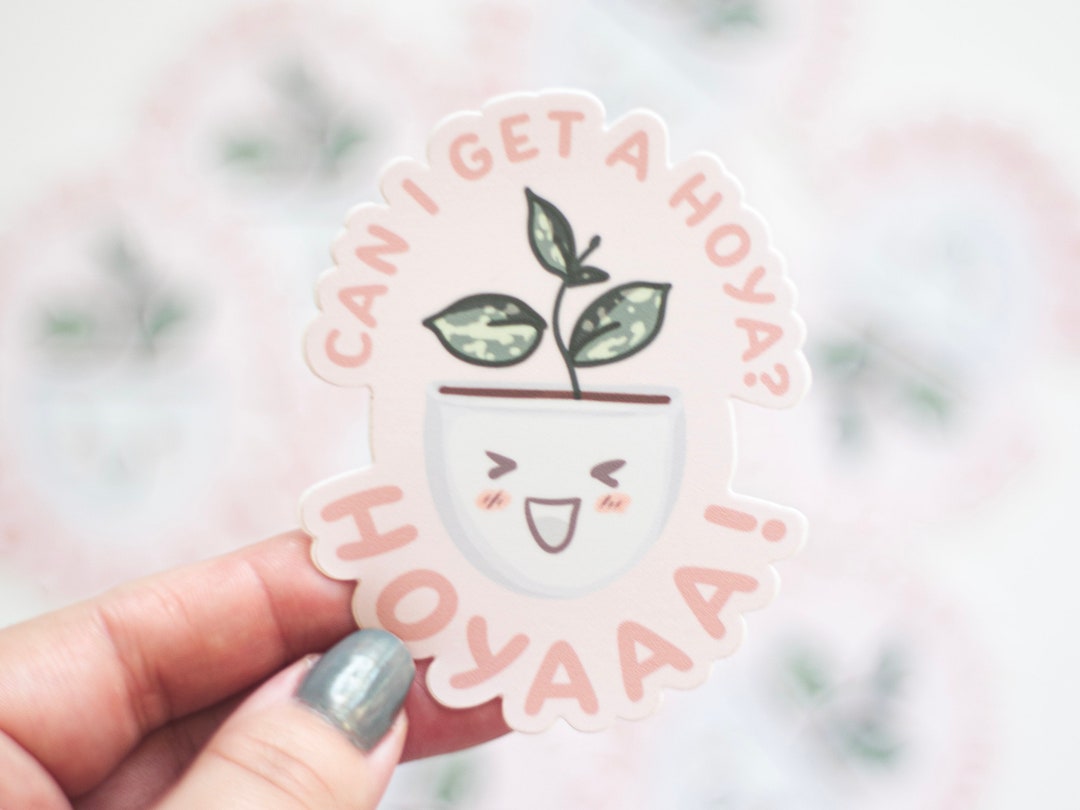 Can I Get a HOYA Sticker // Hoya Vinyl Sticker // Gifts for Plant