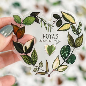 Hoyas Have My Heart // transparent vinyl sticker // gifts for plant lovers // image 1
