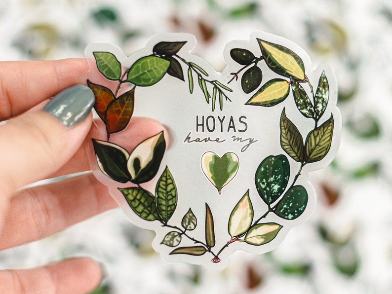 Hoyas Have My Heart // transparent vinyl sticker // gifts for plant lovers // image 1