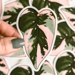 Pink Princess Philodenron // vinyl sticker // Perfect Philodendron Series #1 // gift for plant lovers // plant art sticker