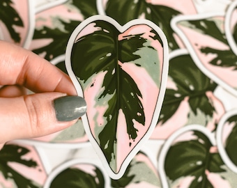 Pink Princess Philodenron // vinyl sticker // Perfect Philodendron Series #1 // gift for plant lovers // plant art sticker
