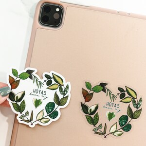 Hoyas Have My Heart // transparent vinyl sticker // gifts for plant lovers // image 3