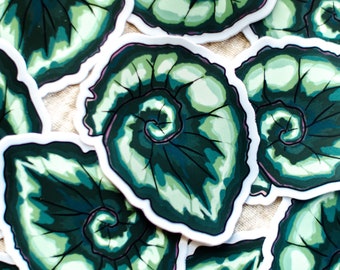 Begonia Escargot // vinyl sticker // Planty Plants series #3