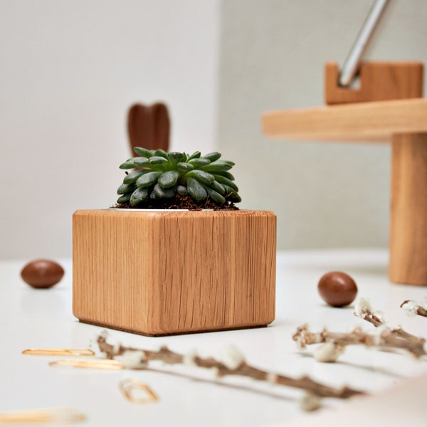 Wood Geometric Planter,  Succulent Plant Stand, Wood desk planter, Natural Ecological Wooden Plant Holder, Best Friend Gift