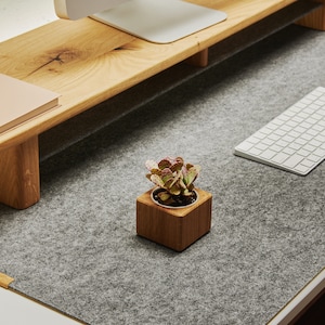 Sukkulentenhalter aus Holz für den Schreibtisch - kleiner Innenpflanzentopf für modernes Bürodekor, natürlicher ökologischer Pflanzenhalter aus Holz, Geschenk für den besten Freund