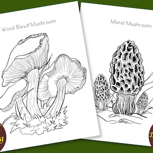 Mushrooms Coloring Book, 32 Coloring Sheets, Plants Coloring Pages, Autumn Coloring Book, Adult Coloring Book, Morel Mushroom Hunter, Forest