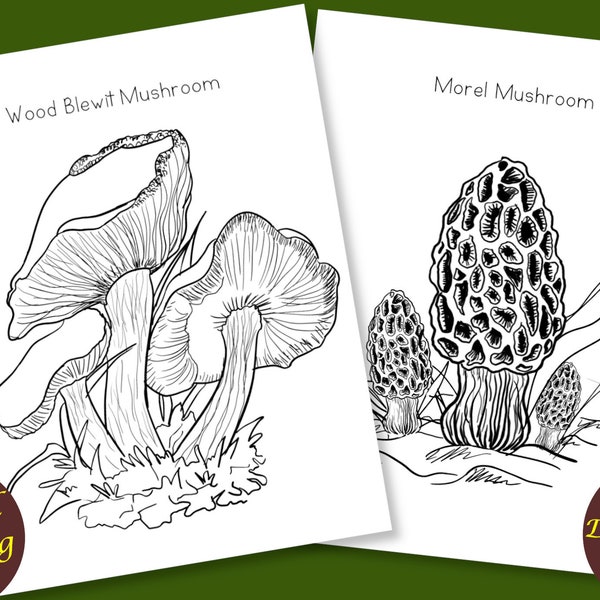 Mushrooms Coloring Book, 32 Coloring Sheets, Plants Coloring Pages, Autumn Coloring Book, Adult Coloring Book, Morel Mushroom Hunter, Forest