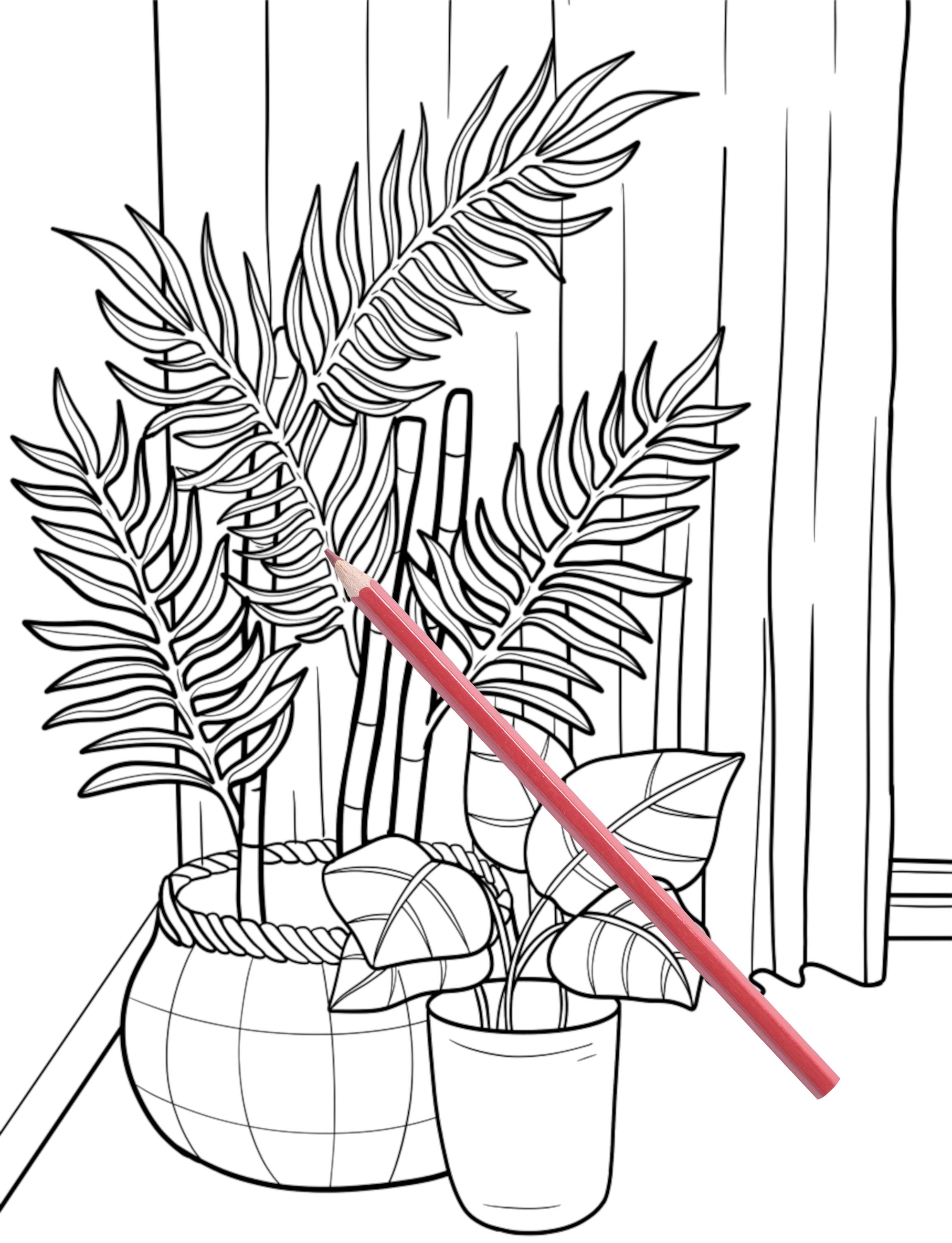 Houseplant Coloring Pages Coloring Pages