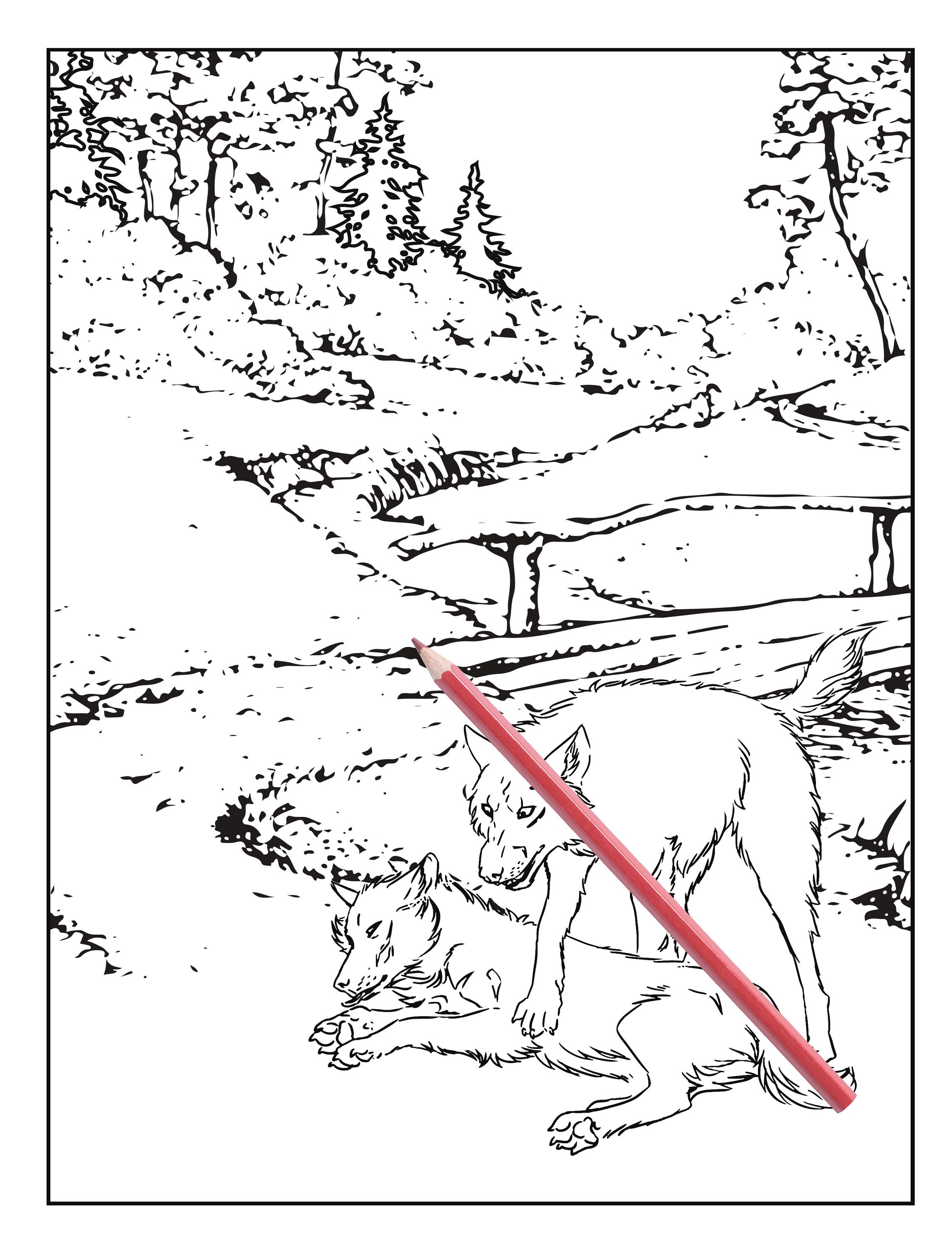 Wolf Coloring Book, 35 Digital Coloring Sheets, Wolf Lover Gifts Kids