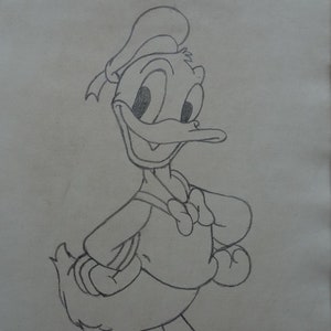 Vintage cartoon Walt Disney Donal Duck study, drawing