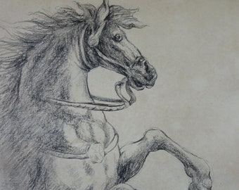 European Old Master drawing, Horse, Charcoal Figure study, Fine art