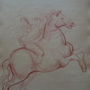 Dessin de maître ancien européen, Cheval, Étude de figures au fusain, Beaux-arts