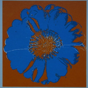 Fine POP ART Limited edition silkscreen serigraph - Flower, Warhol, signed, stamped and numbered