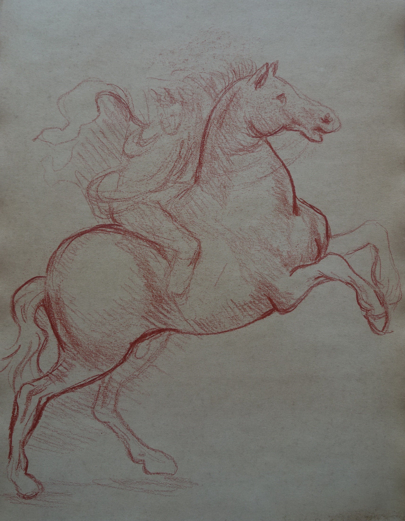 洋書 European Old Master Drawings European Old Master Drawings: From the Bruges Print Room: D