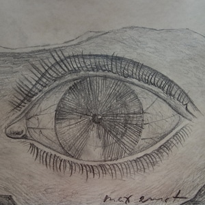 Estudio de grafito surrealista - dibujo, Firmado Max Ernst