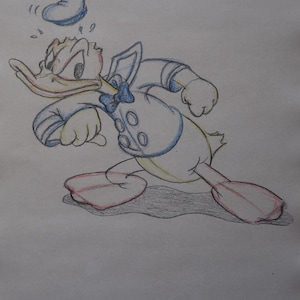 Vintage cartoon Walt Disney Donal Duck study, drawing