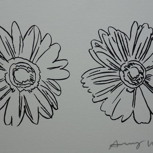 Fine POP ART Limited edition silkscreen serigraph – flowers, Warhol, signed, stamped and numbered