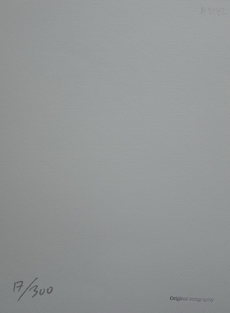 May include: A white paper with the number 17/300 written in black ink and the text "Original serigraphy" written in black ink.