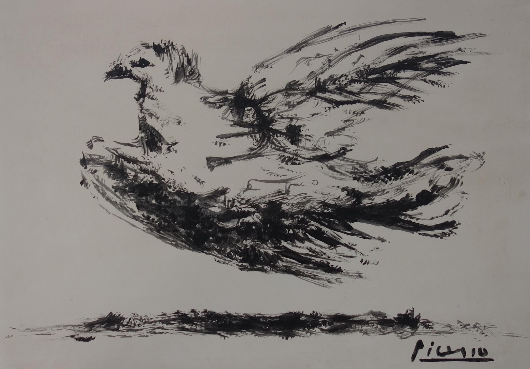 ピカソ piccaso ペン画 「鳩」 デッサン ドローイング