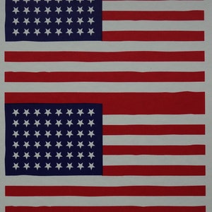 Fine POP ART Limited edition silkscreen serigraph - Flag, signed, stamped and numbered