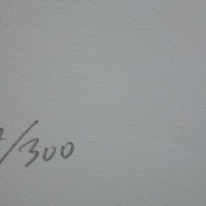 May include: A close-up of a white surface with a handwritten number "17/300" in black ink.