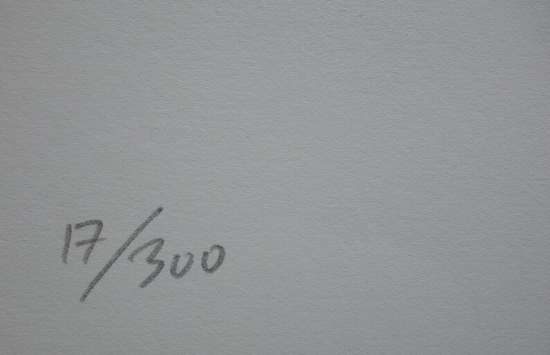 May include: A close-up of a white surface with a handwritten number "17/300" in black ink.