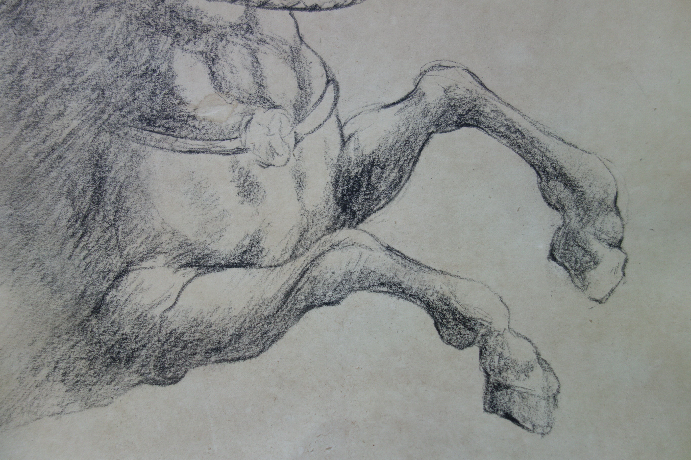 European Old Master Drawing, Horse, Charcoal Figure Study