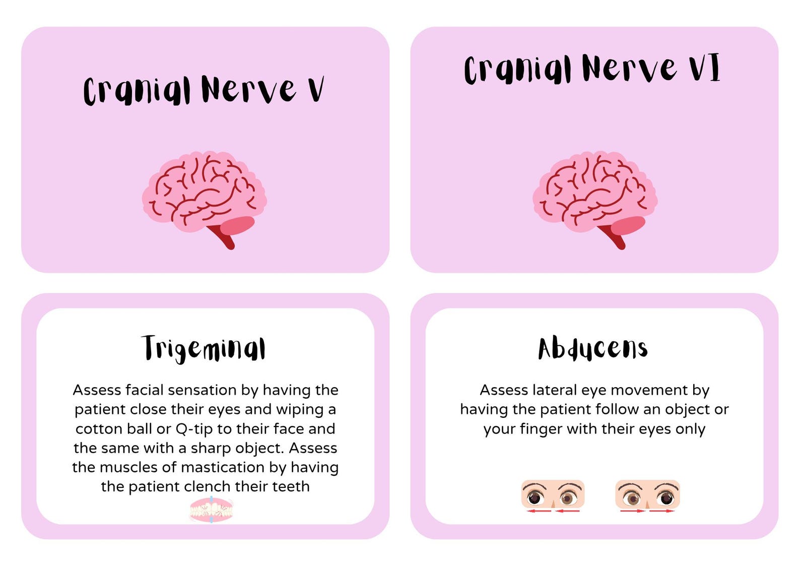 Cranial Nerves Digital Flash Cards | Neuro Nursing Study Guide | NCLEX ...