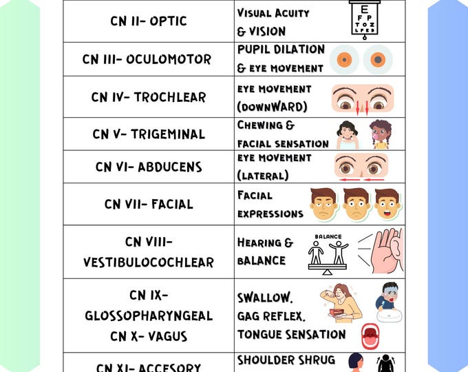 Buy Cranial Nerves & Functions | Nursing Review | Digital Download ...