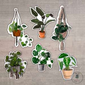 House Plant Multi Pack / House Plant Sticker / Plant Sticker / Alocasia Sticker / Water Bottle Sticker / Vinyl Sticker