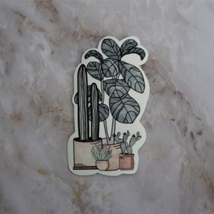 Etiqueta engomada de agrupación de plantas