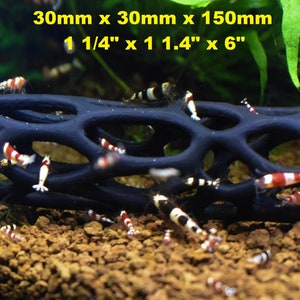 Unique cholla Wood Decoration for Fish Tanks - 3D Printed Design