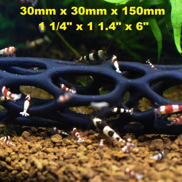 Proximus N1 Cholla Wood Aquarium Decoration For Aquascape Shrimp Tank | INDIA