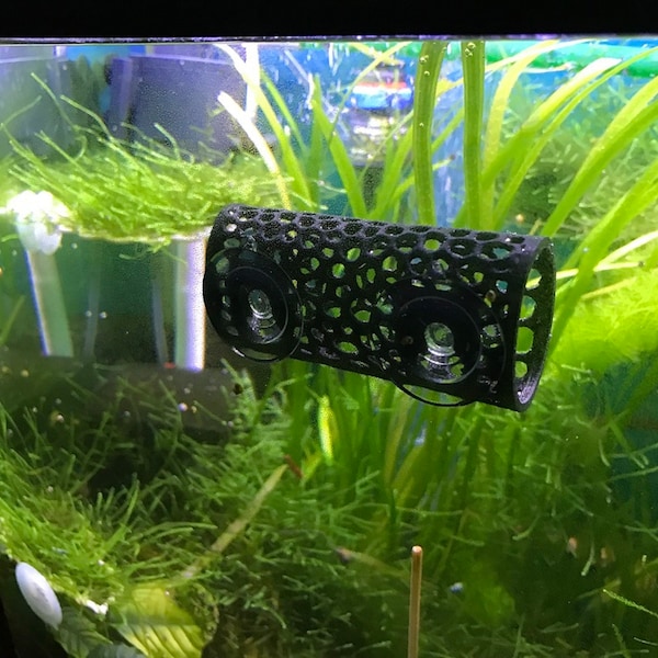 Betta Bed Resting Tube Siamesischer Kampffisch 3D, oft kopiert, nie betta'd! Verwenden Sie wie besehen oder fügen Sie Ihr eigenes Moos hinzu.